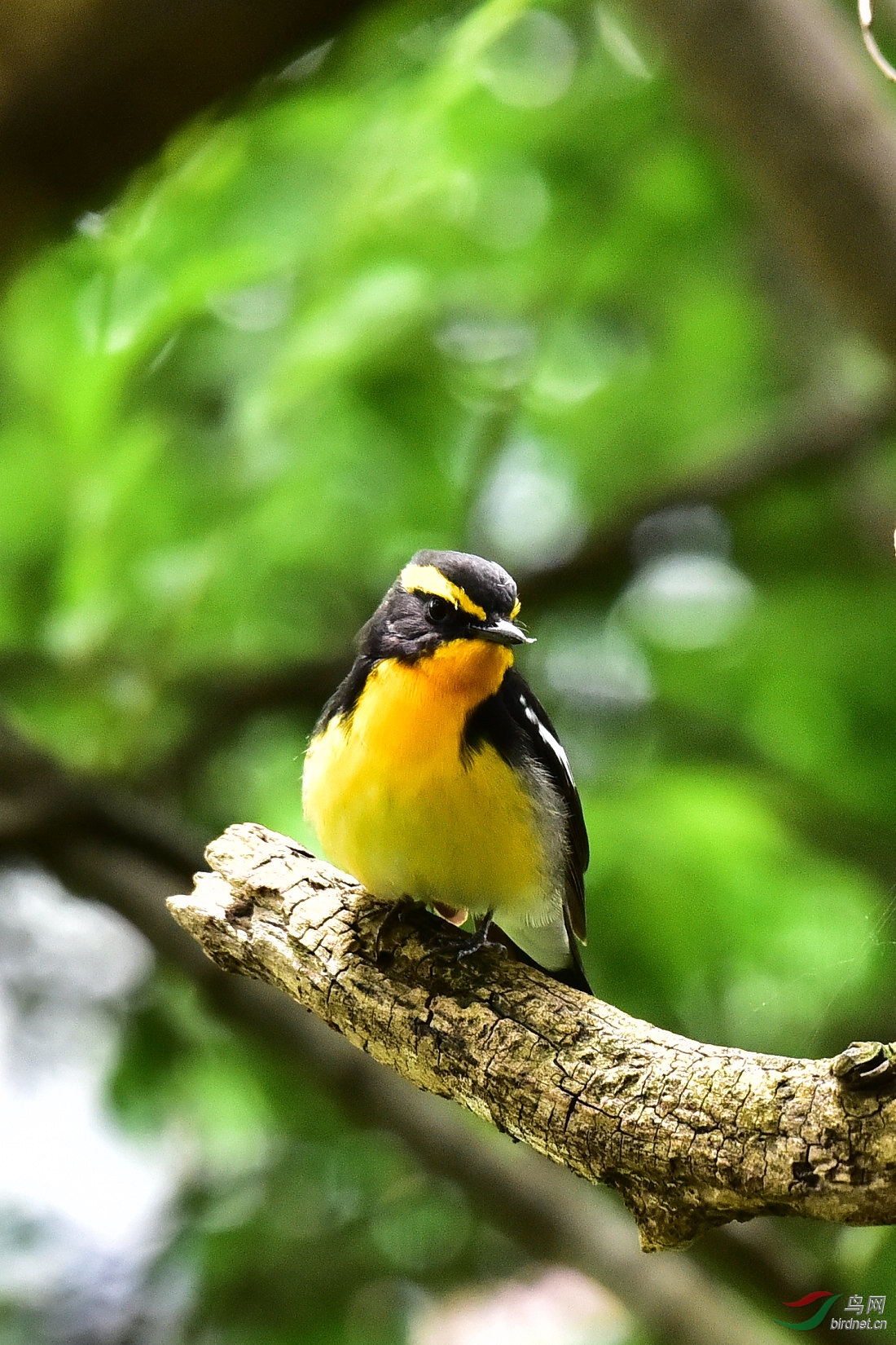 DSC_0734.JPG