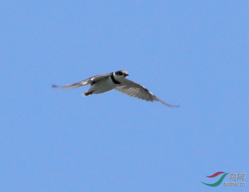 P3100920 - ����.JPG