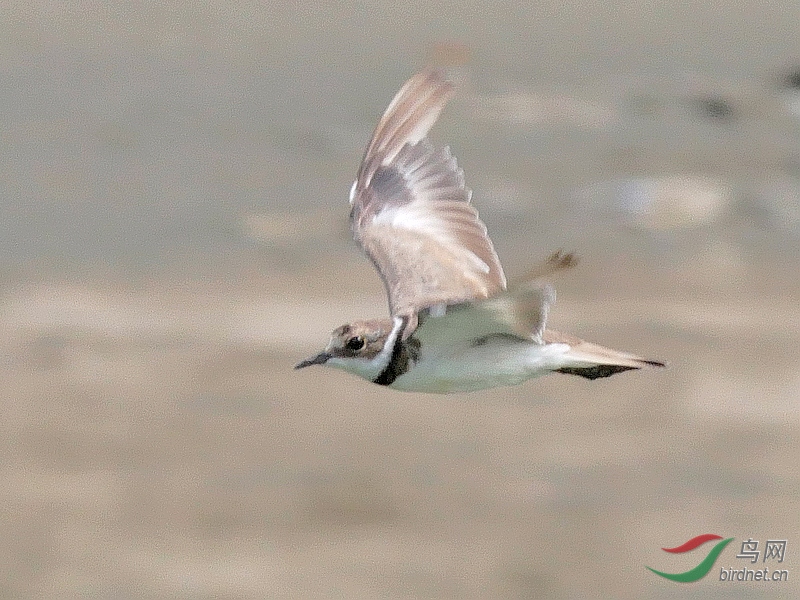 P3100961 - ����.JPG