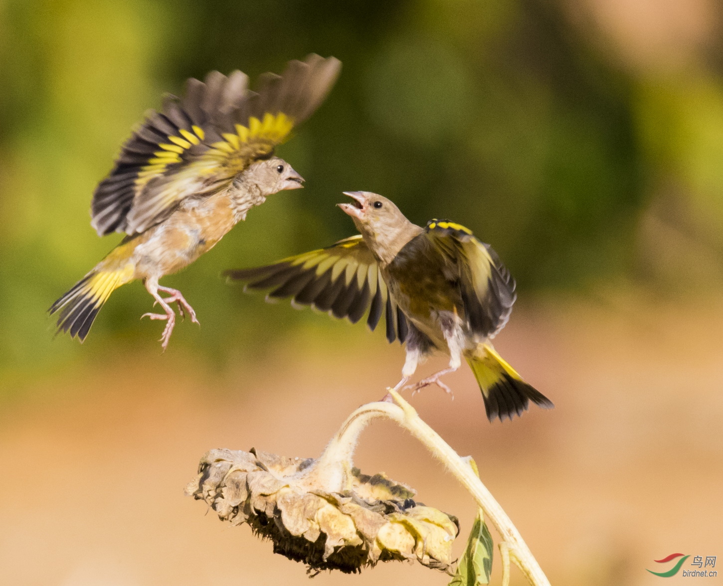 7Q5A1815-1_�� �����ȸ �������ݣ�.JPG