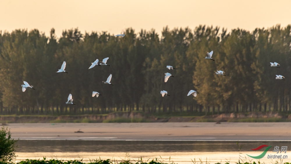 _DSC5700-2.jpg