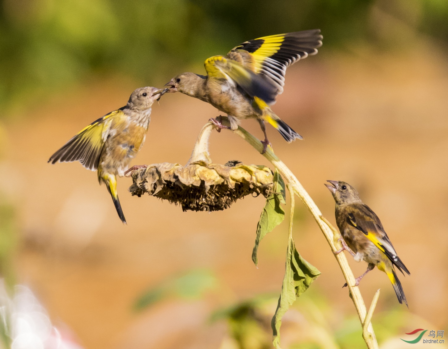 7Q5A1910-3_����ĺ����Ǹ��������ȸ �������ݣ�.JPG