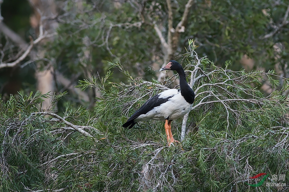 _DSC9768.JPG