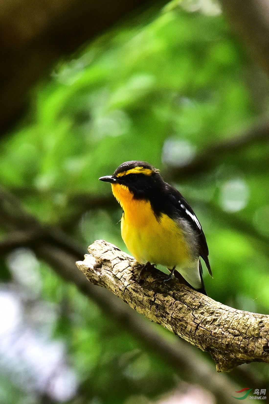 DSC_0737.JPG