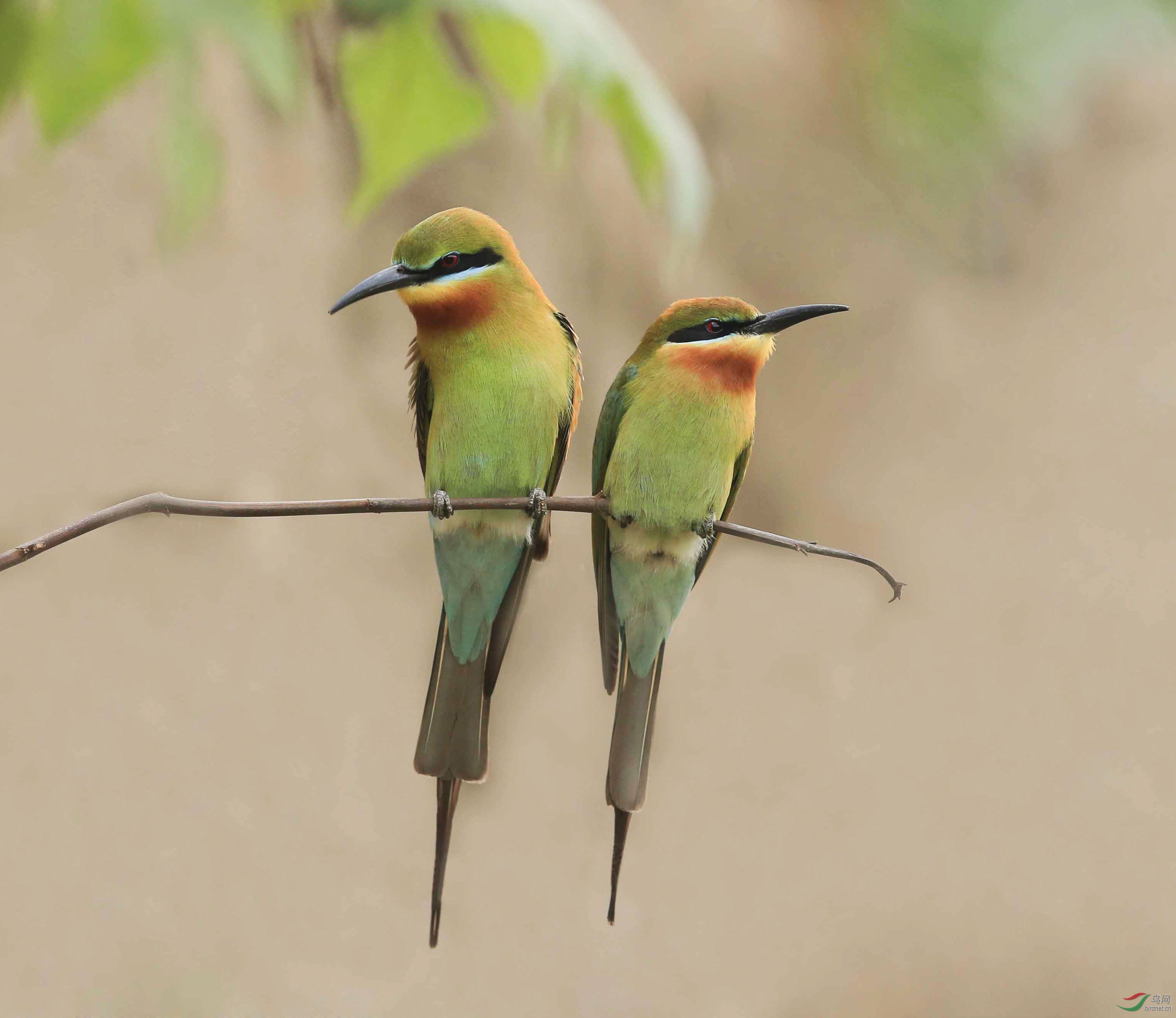 ��Ҫ��..������ǱѼ�� (4).jpg