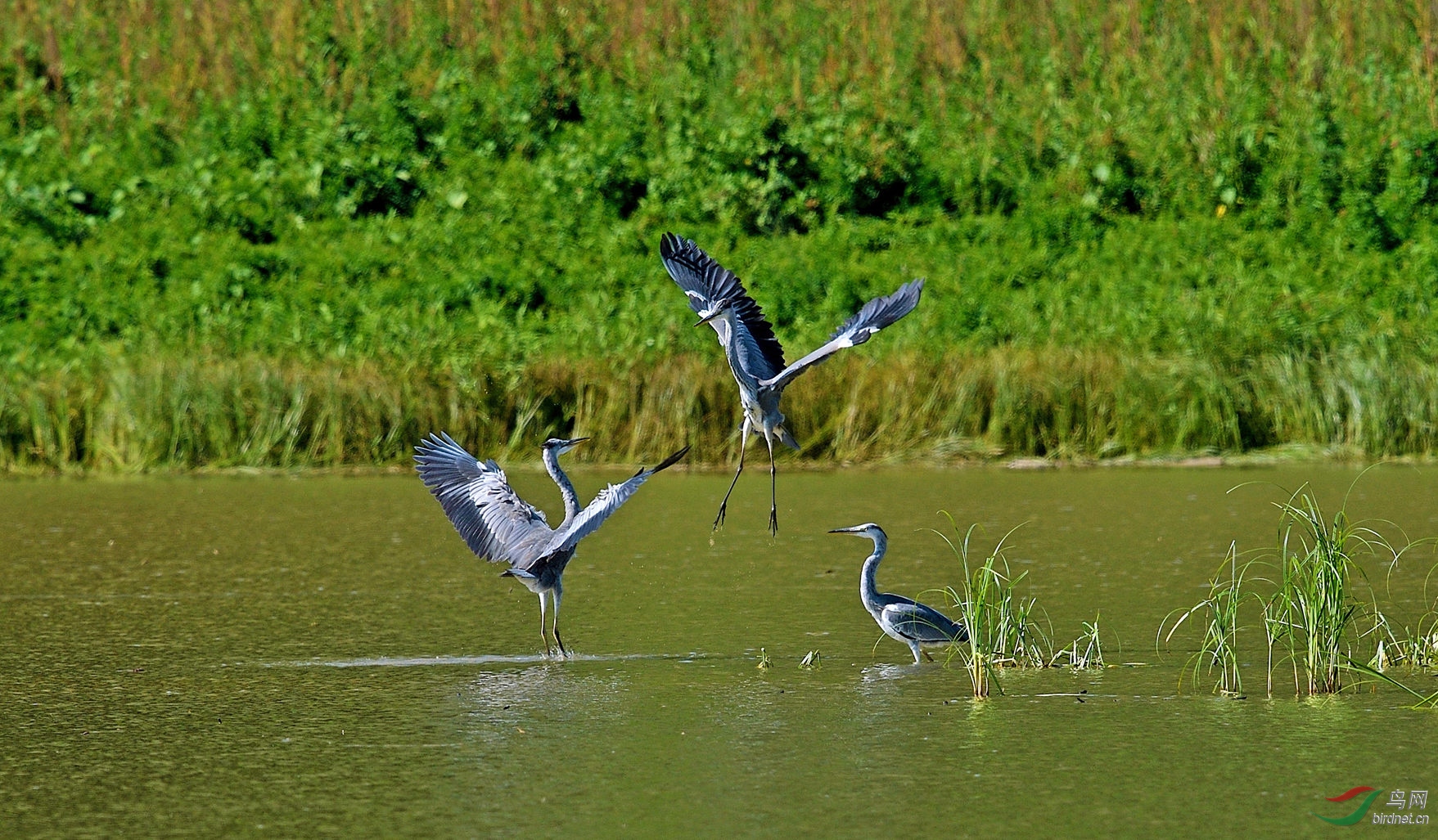 DSC_5400_����.jpg