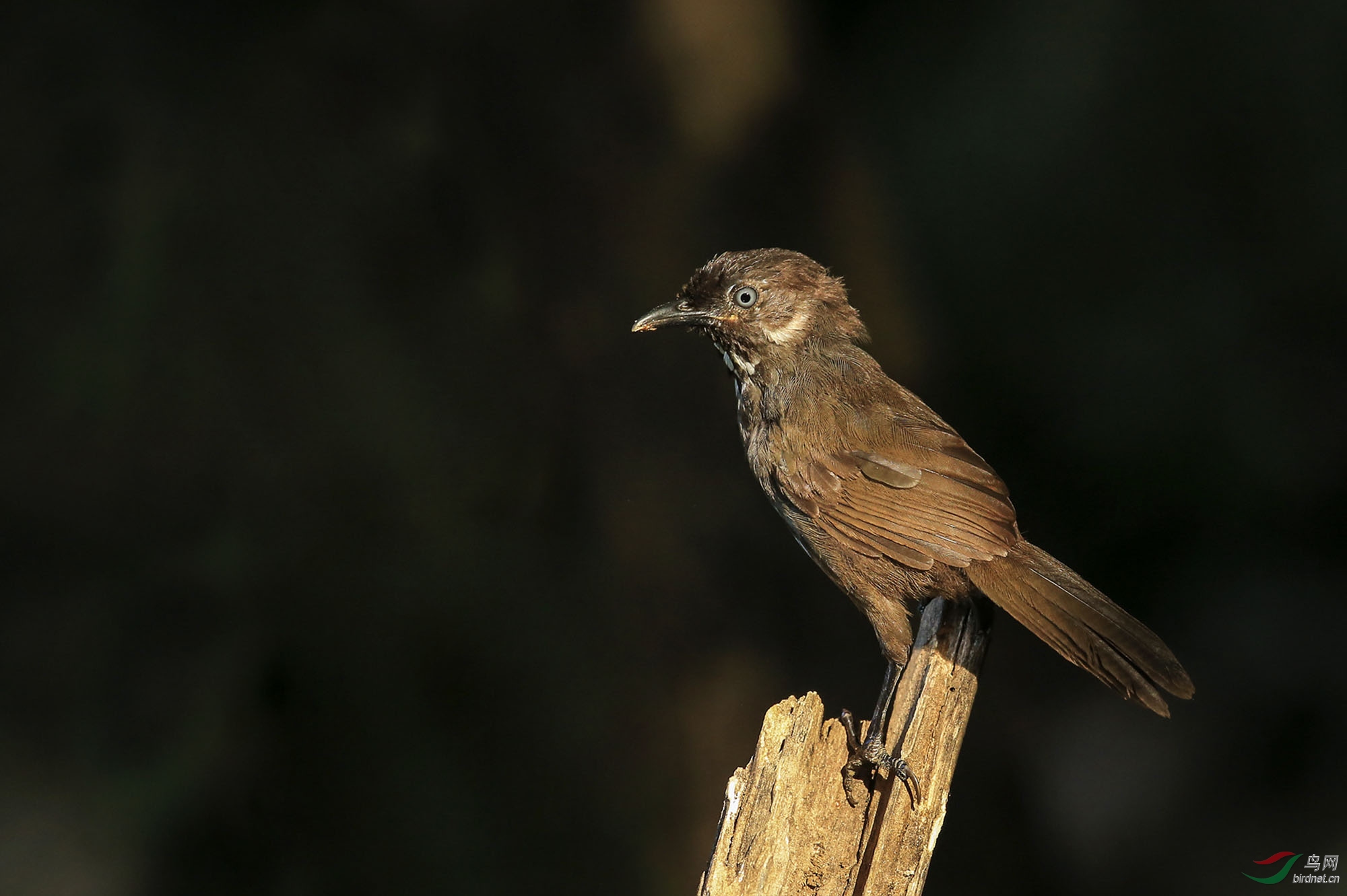 Ū������    ��Ӱ����.jpg