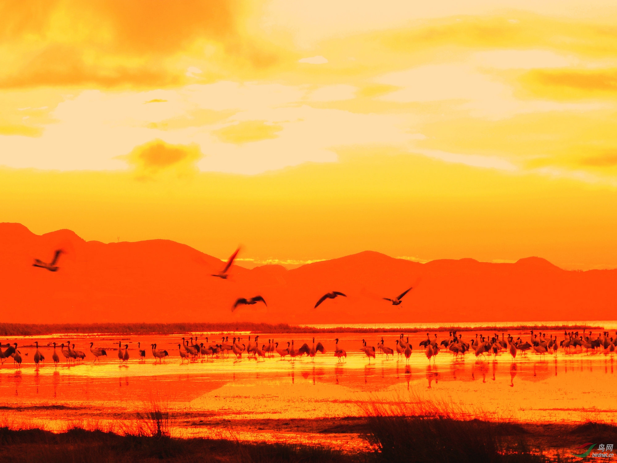 2019.03.03 1621_����.jpg