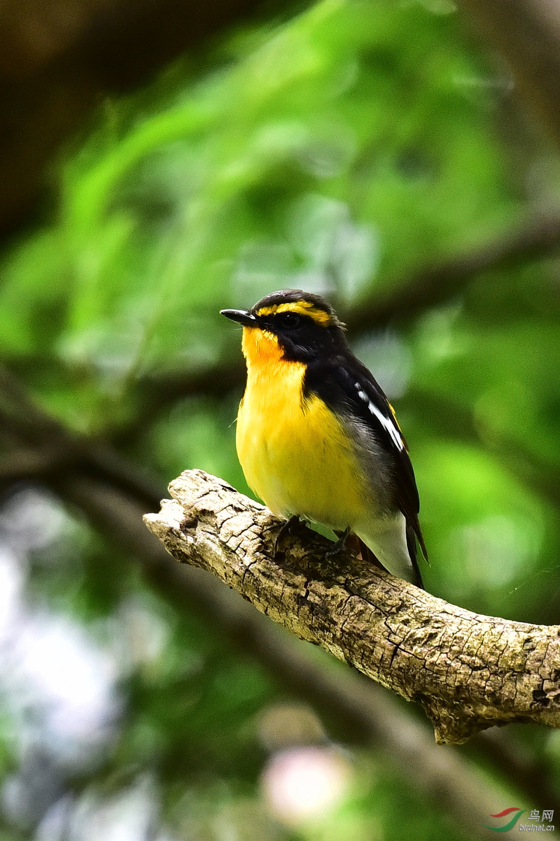 DSC_0739.JPG