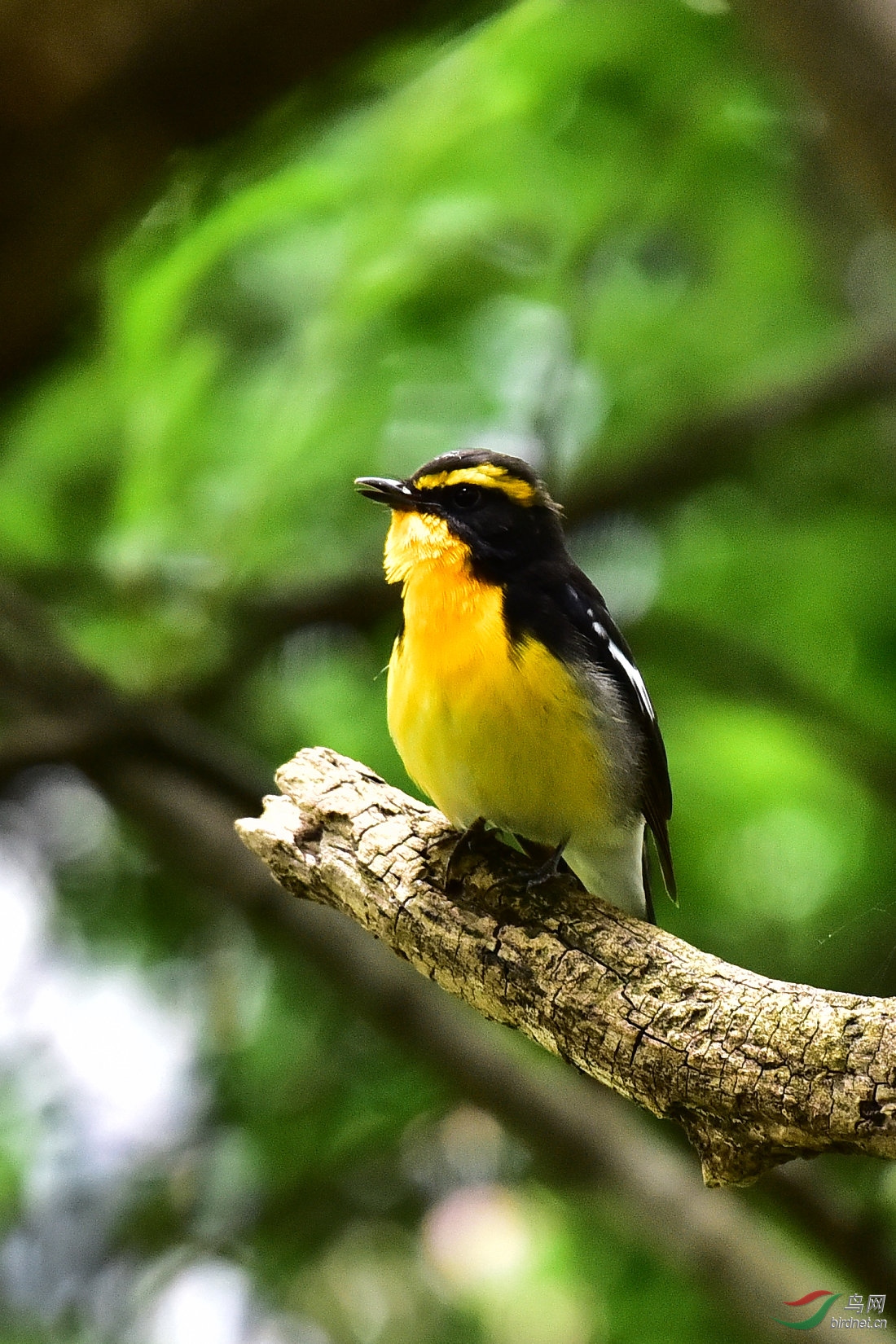 DSC_0741.JPG