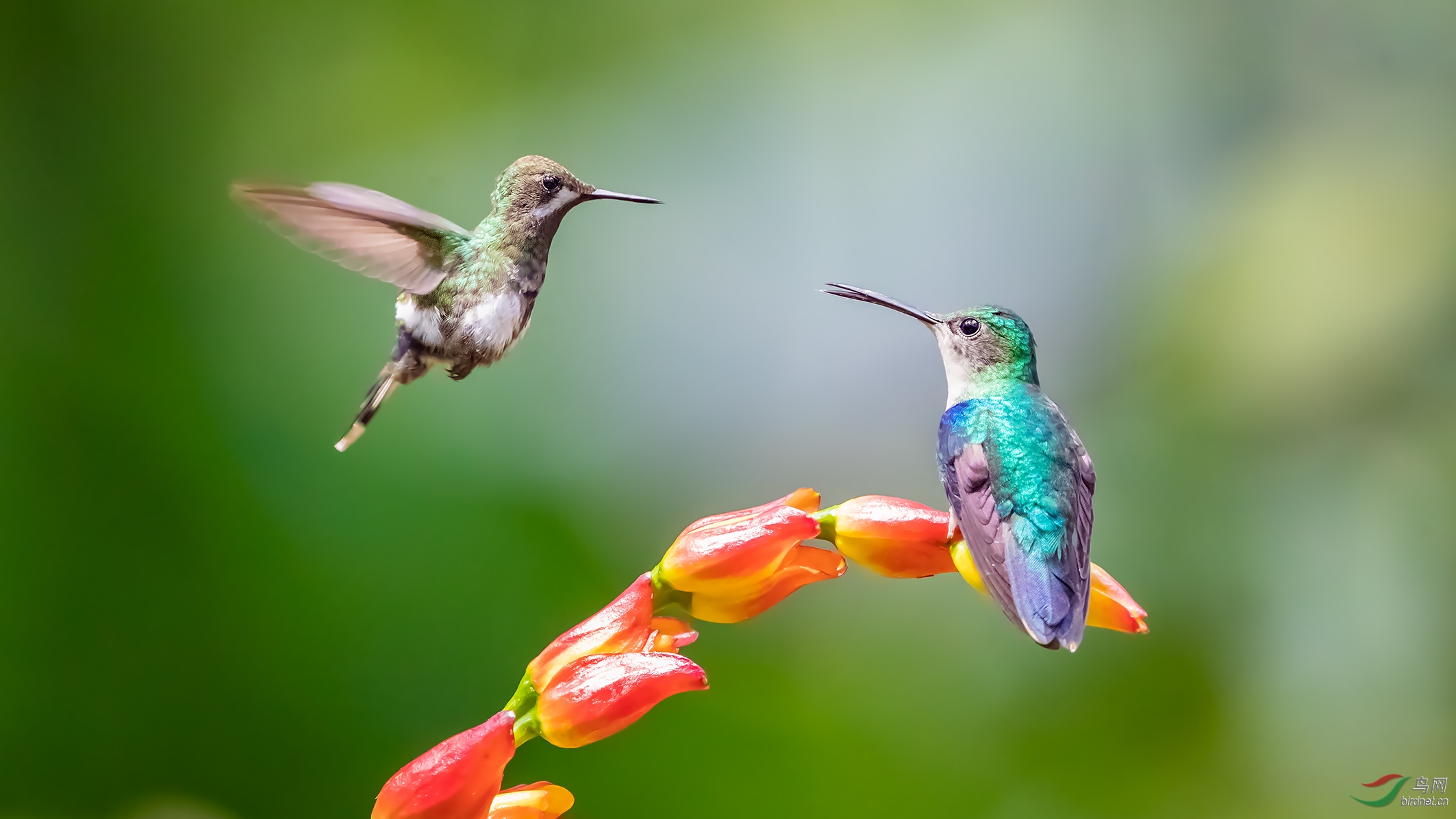 �̴�β���� (25).jpg