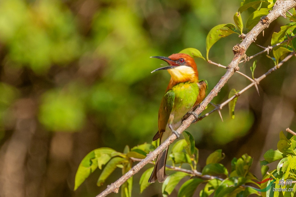 3S5A9966  01_����.jpg