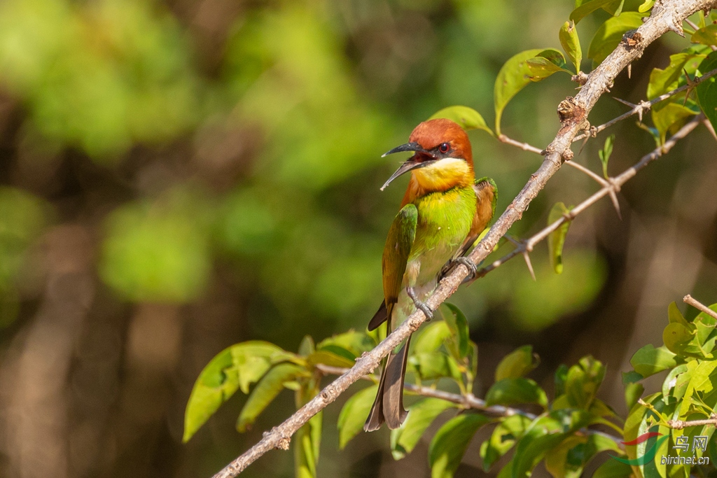 3S5A9964  01_����.jpg