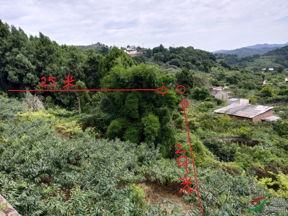 ΢��ͼƬ_20190809153815-1.JPG