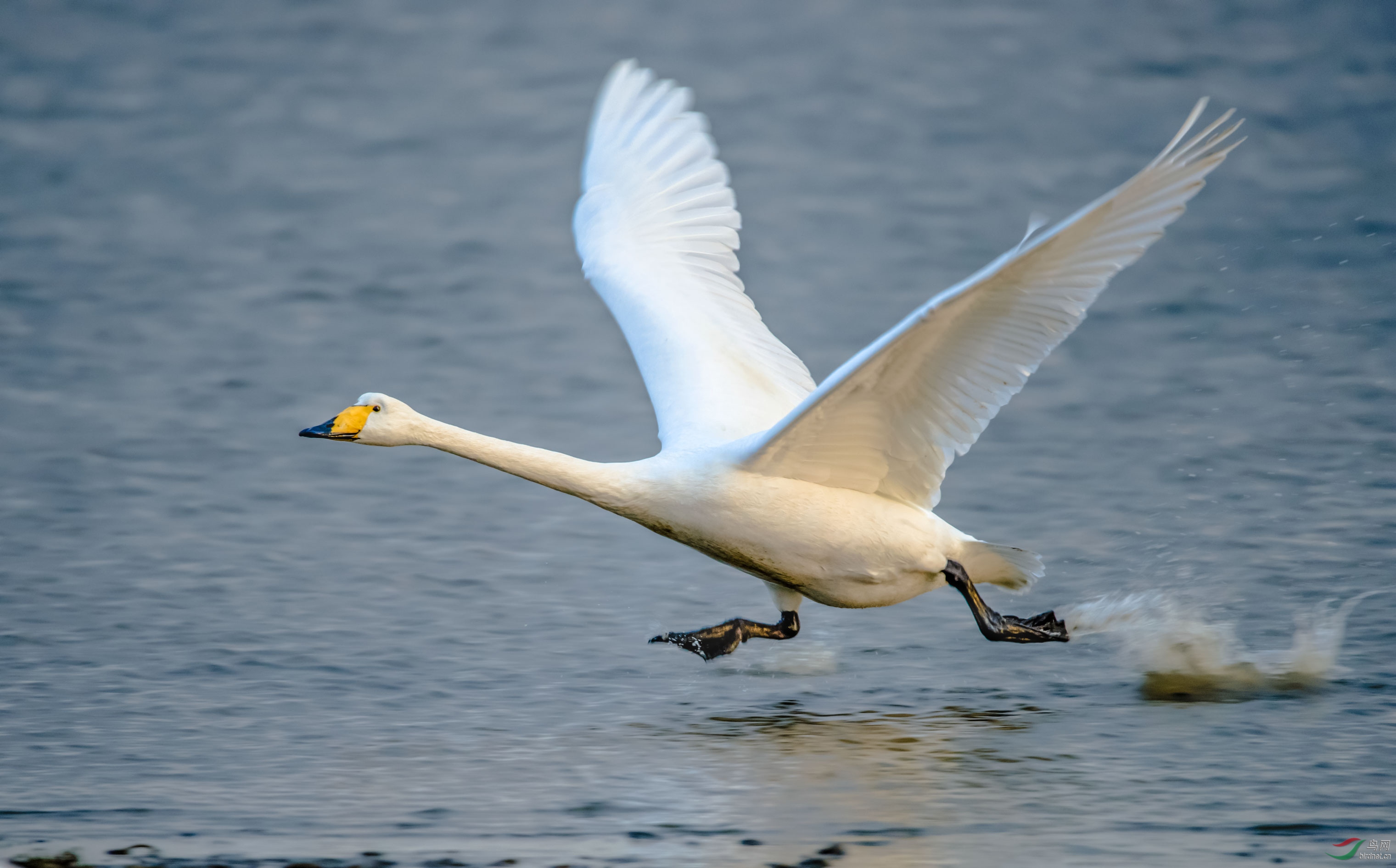 DSC_0972_��ͼ��.jpg