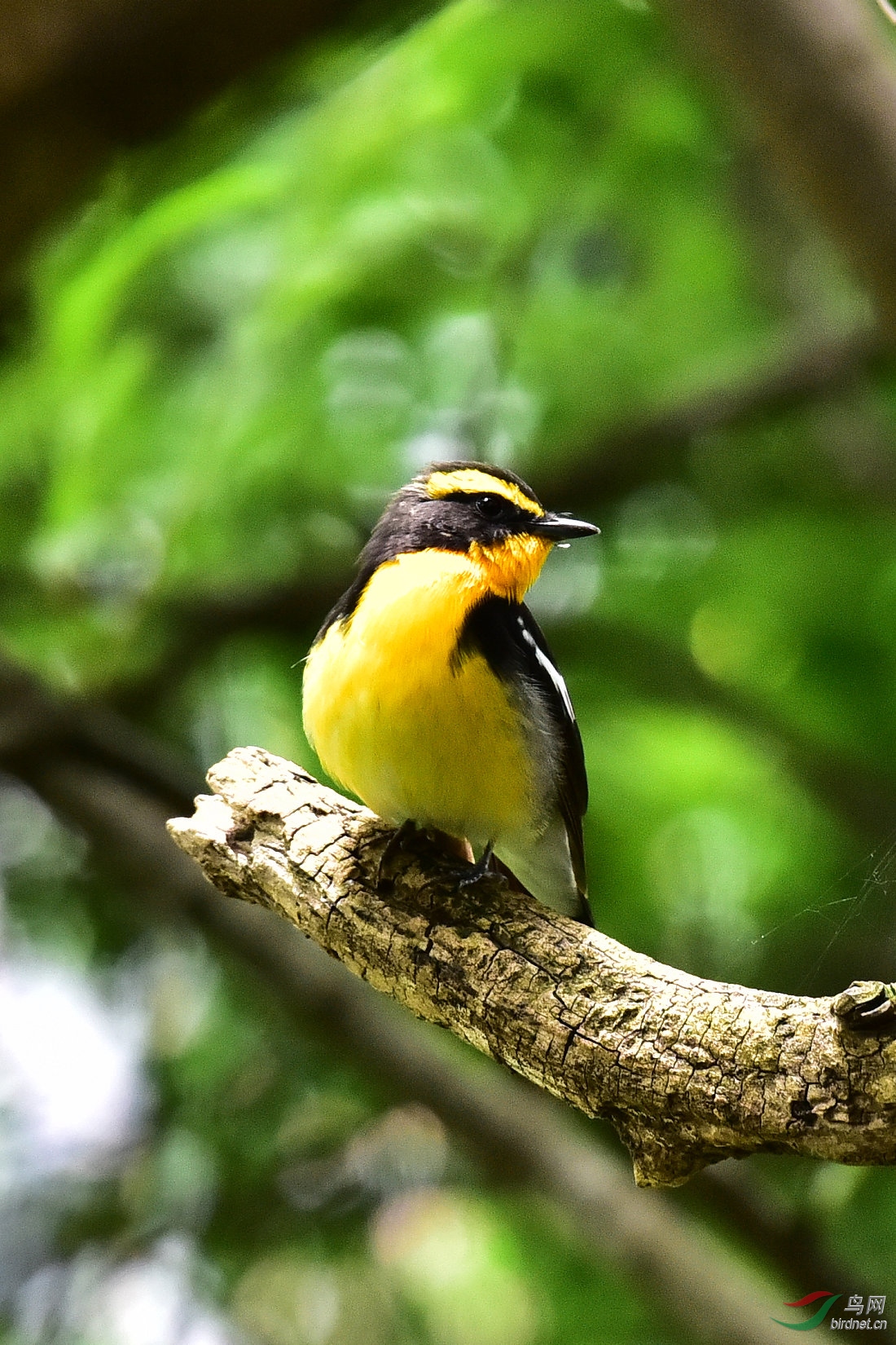 DSC_0746.JPG