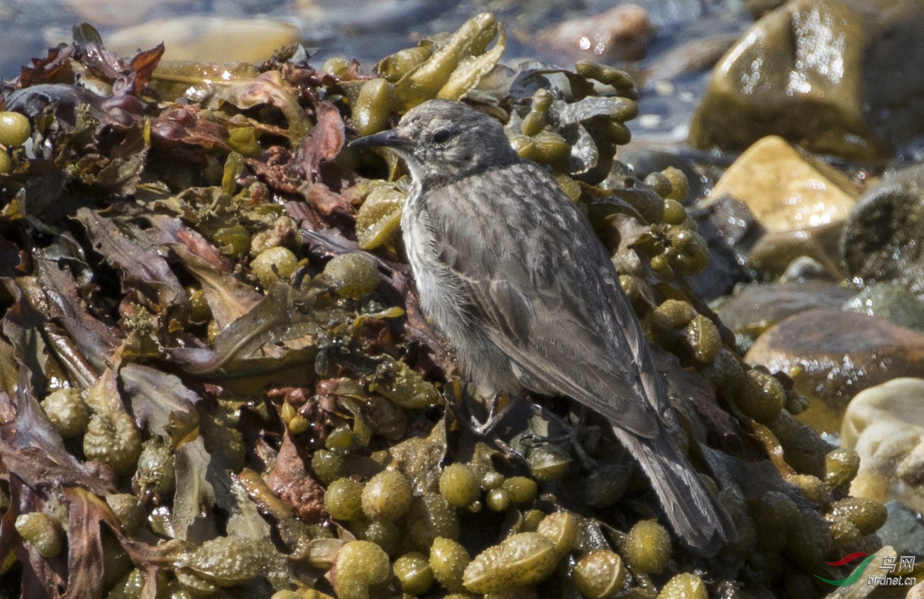 7����6��ͬһֻ��