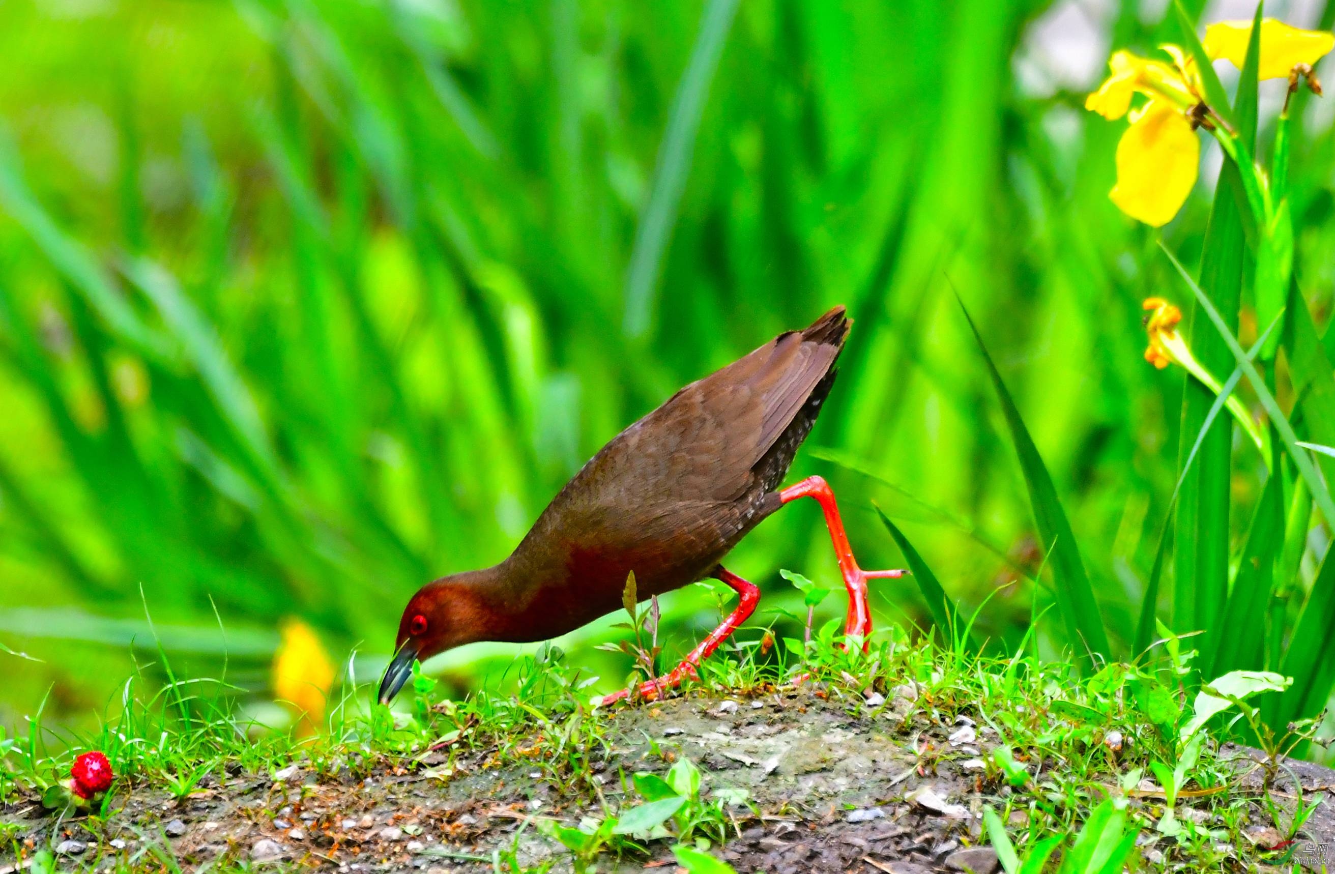 DSC_9367.JPG