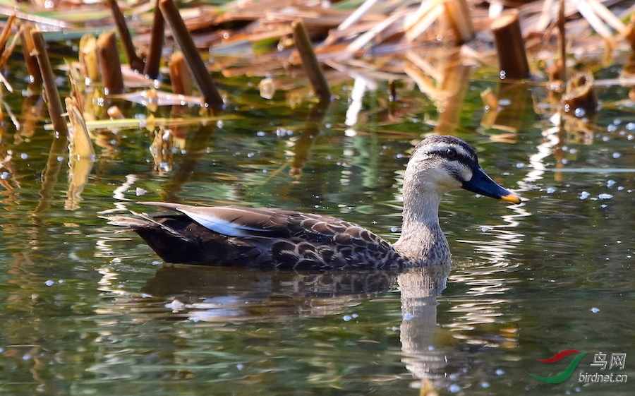 DSC_5786�ĸ���.JPG