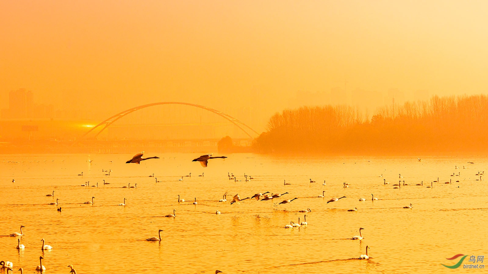 4J8A4209 ����.jpg