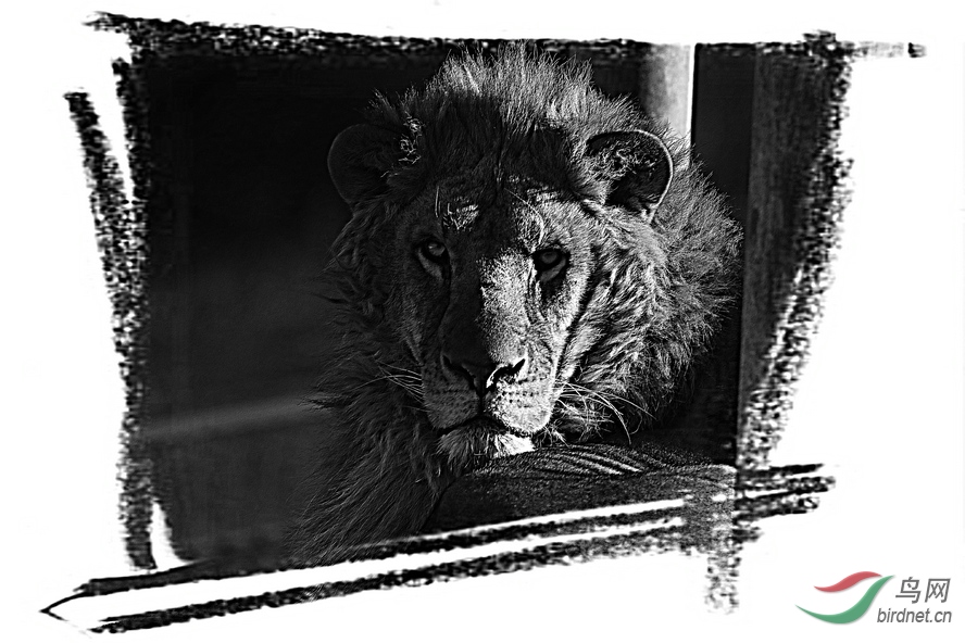 BW6I3608_����_����1_����.JPG