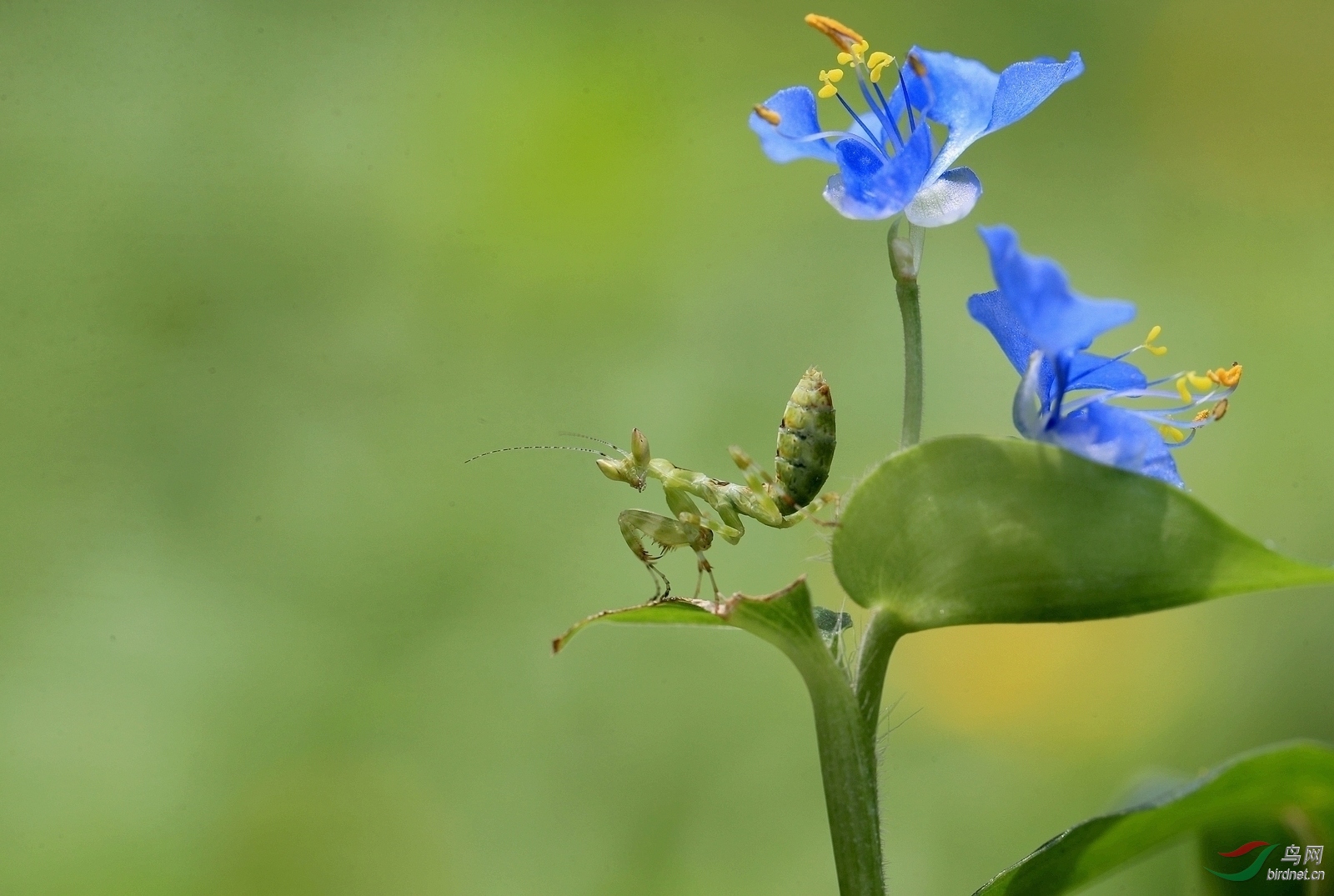 AI0I0206 - ����.JPG