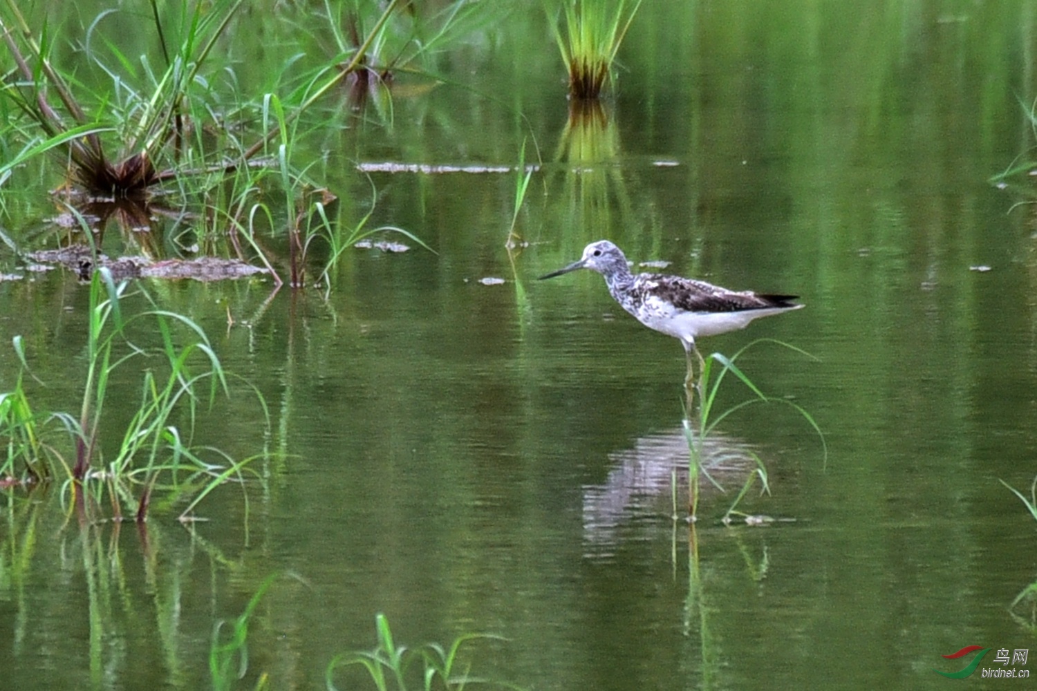 DSC_7404.JPG