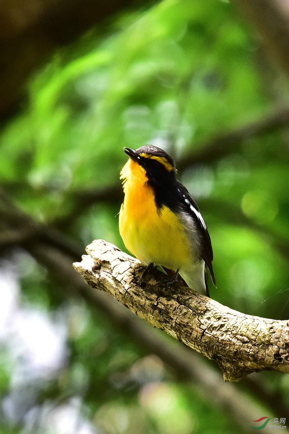 DSC_0749.JPG
