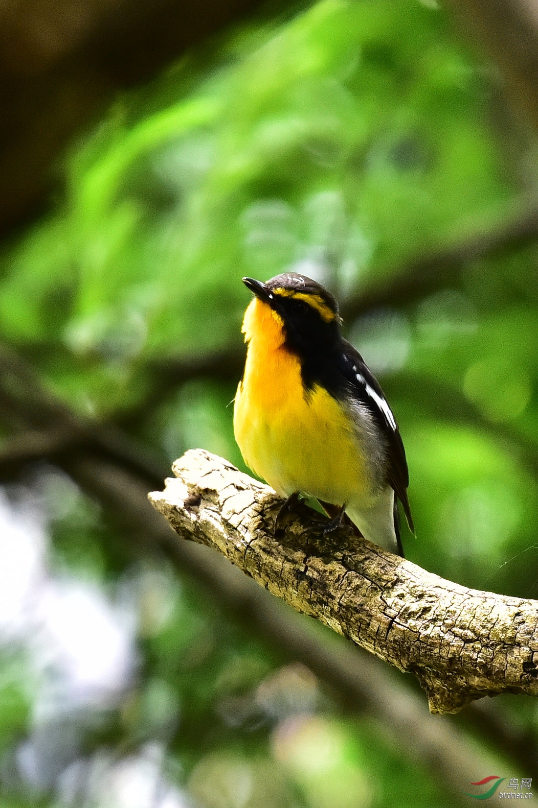 DSC_0750.JPG