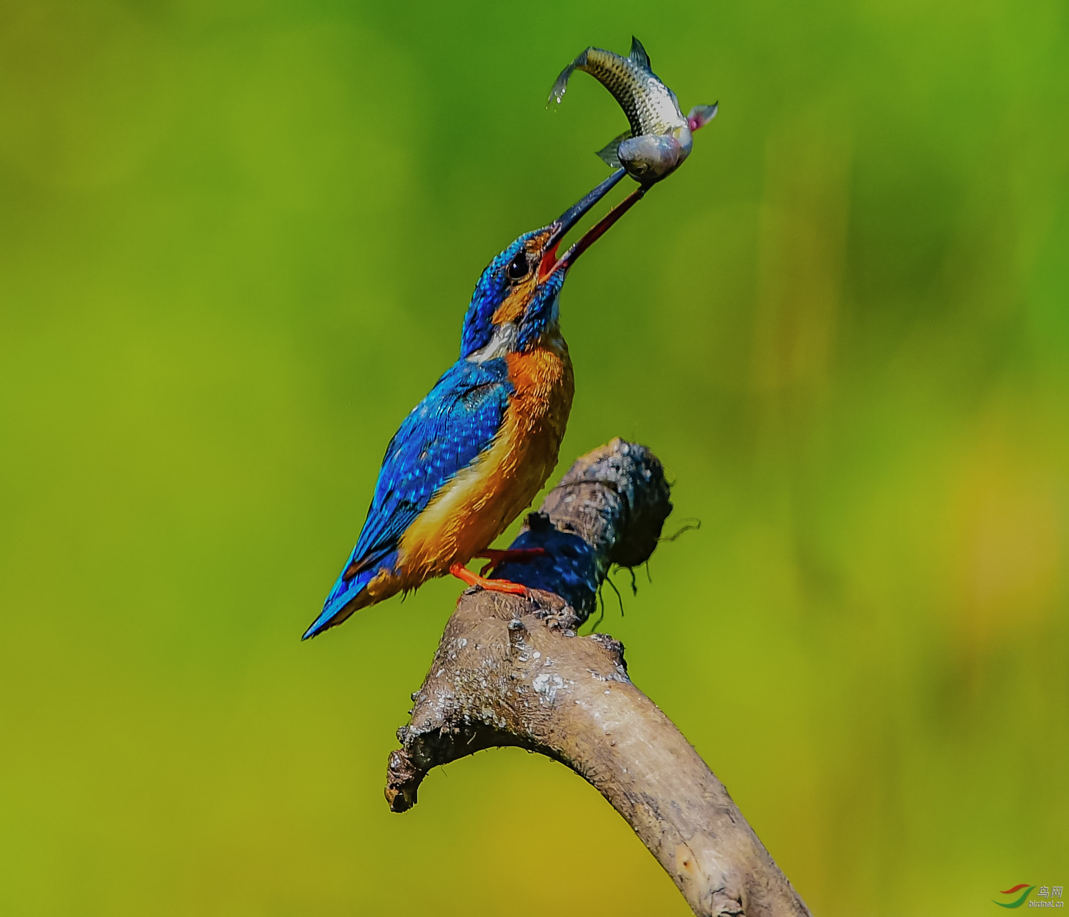 DSC_7659_--����Ϸ��.jpg