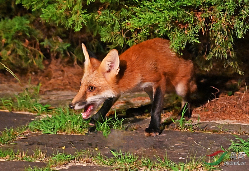 DSC_4044-_����.jpg