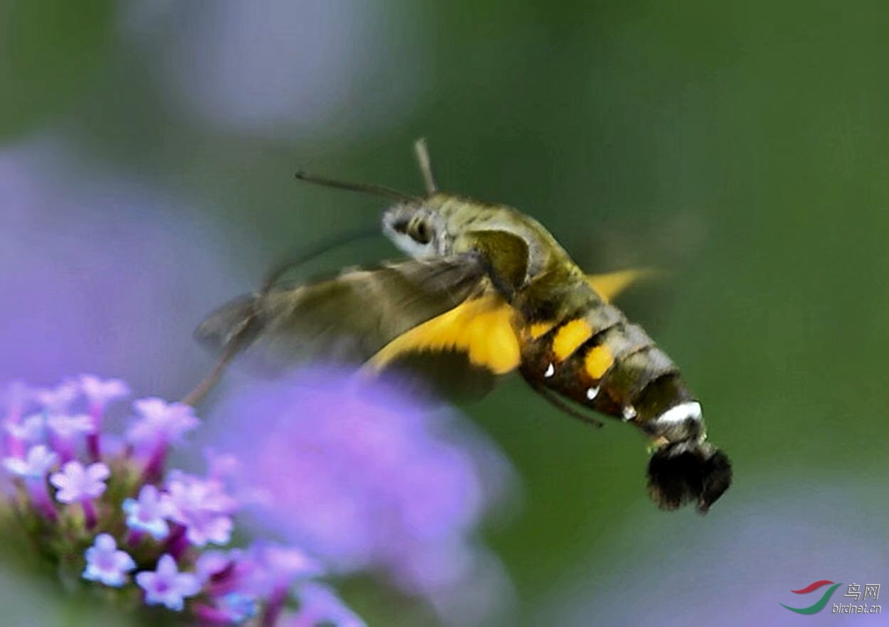 7E2CCE72-D5A6-4885-88E0-3952A67EEE27.jpeg