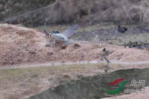 20180224-DSC01014.jpg