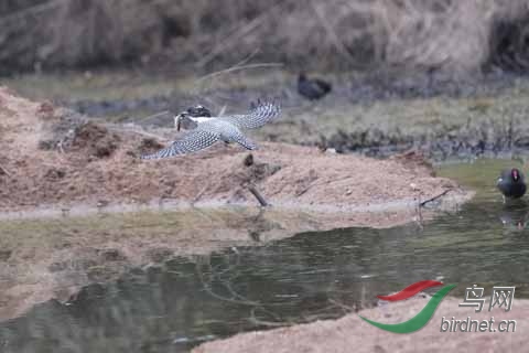 20180224-DSC01012.jpg