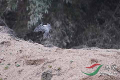 20180224-DSC01032.jpg
