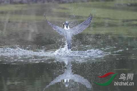 20180224-DSC00975.jpg