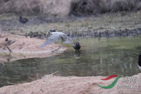 20180224-DSC01008.jpg