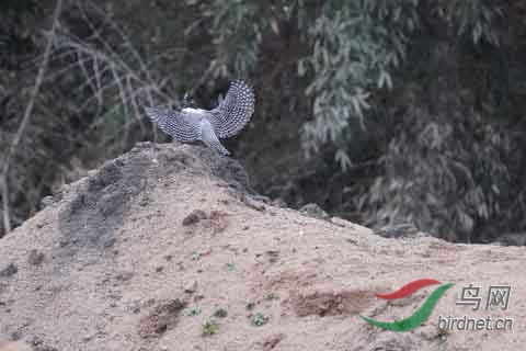 20180224-DSC01041.jpg