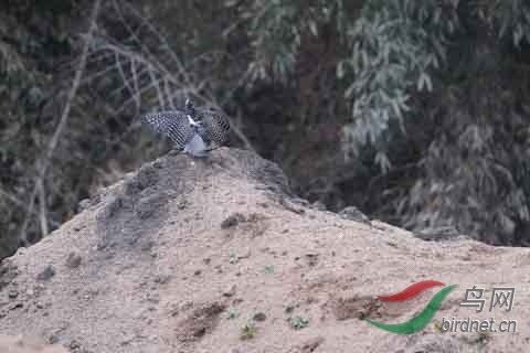 20180224-DSC01046.jpg
