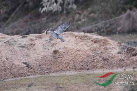 20180224-DSC01019.jpg