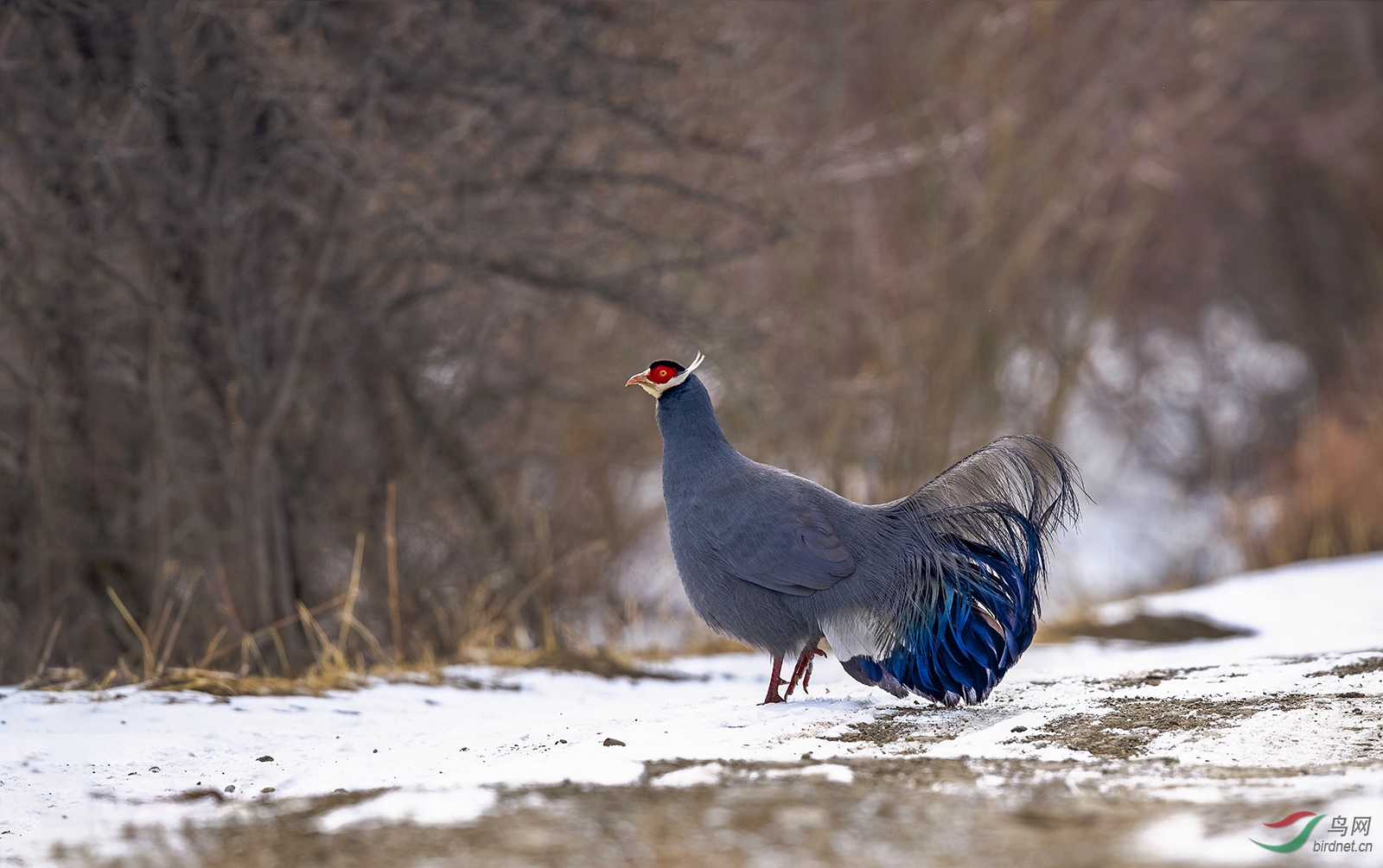 _DSC9112.jpg