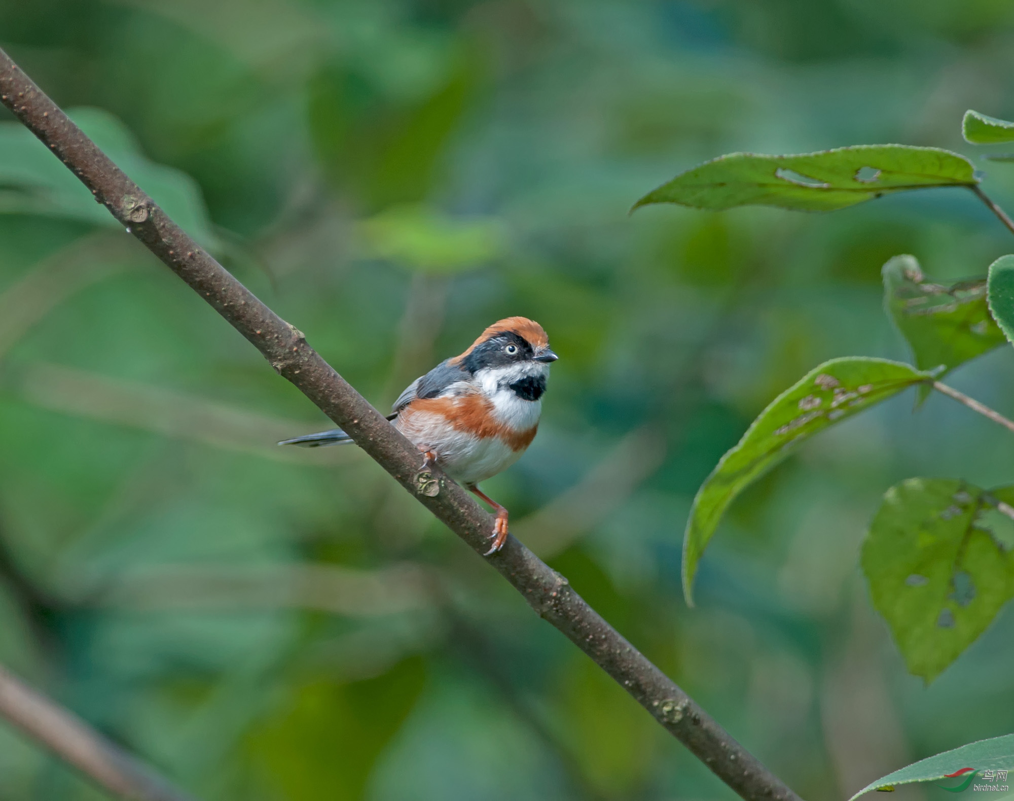 DSC_1621.jpg