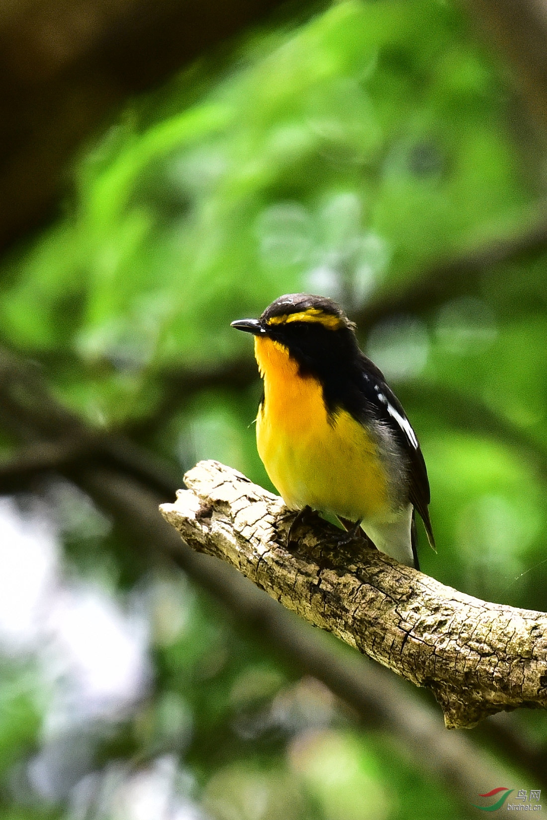 DSC_0754.JPG