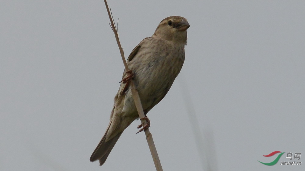DSC_8392.JPG