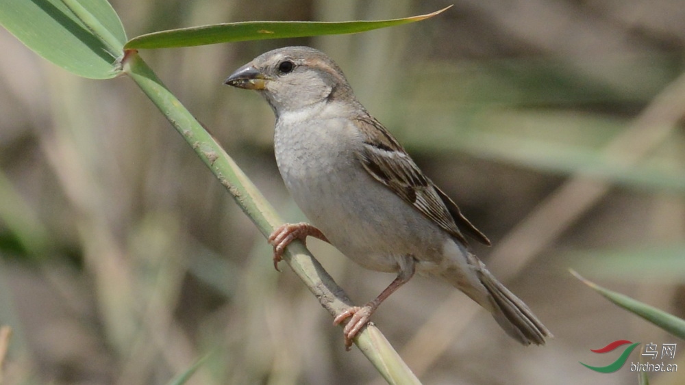 DSC_8645.JPG