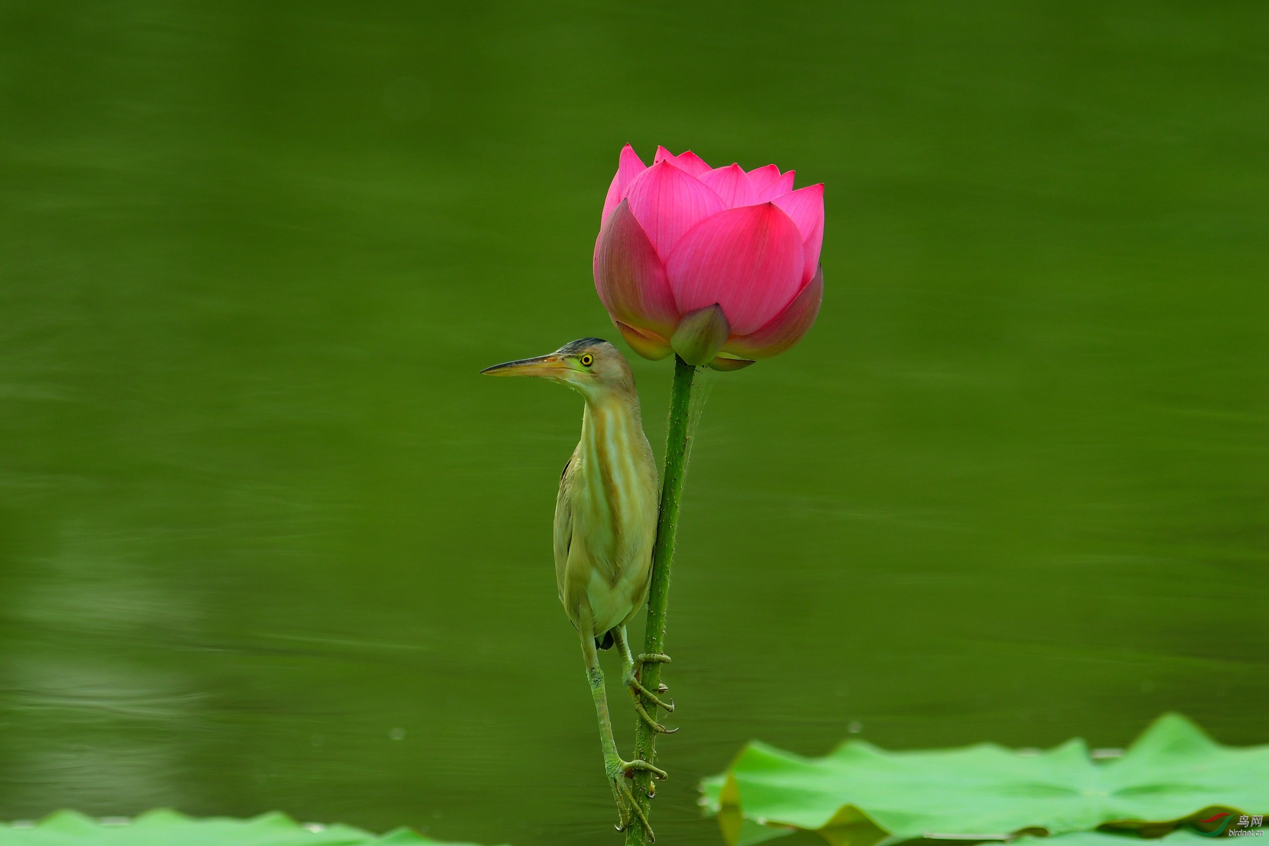 DSC_2258.JPG