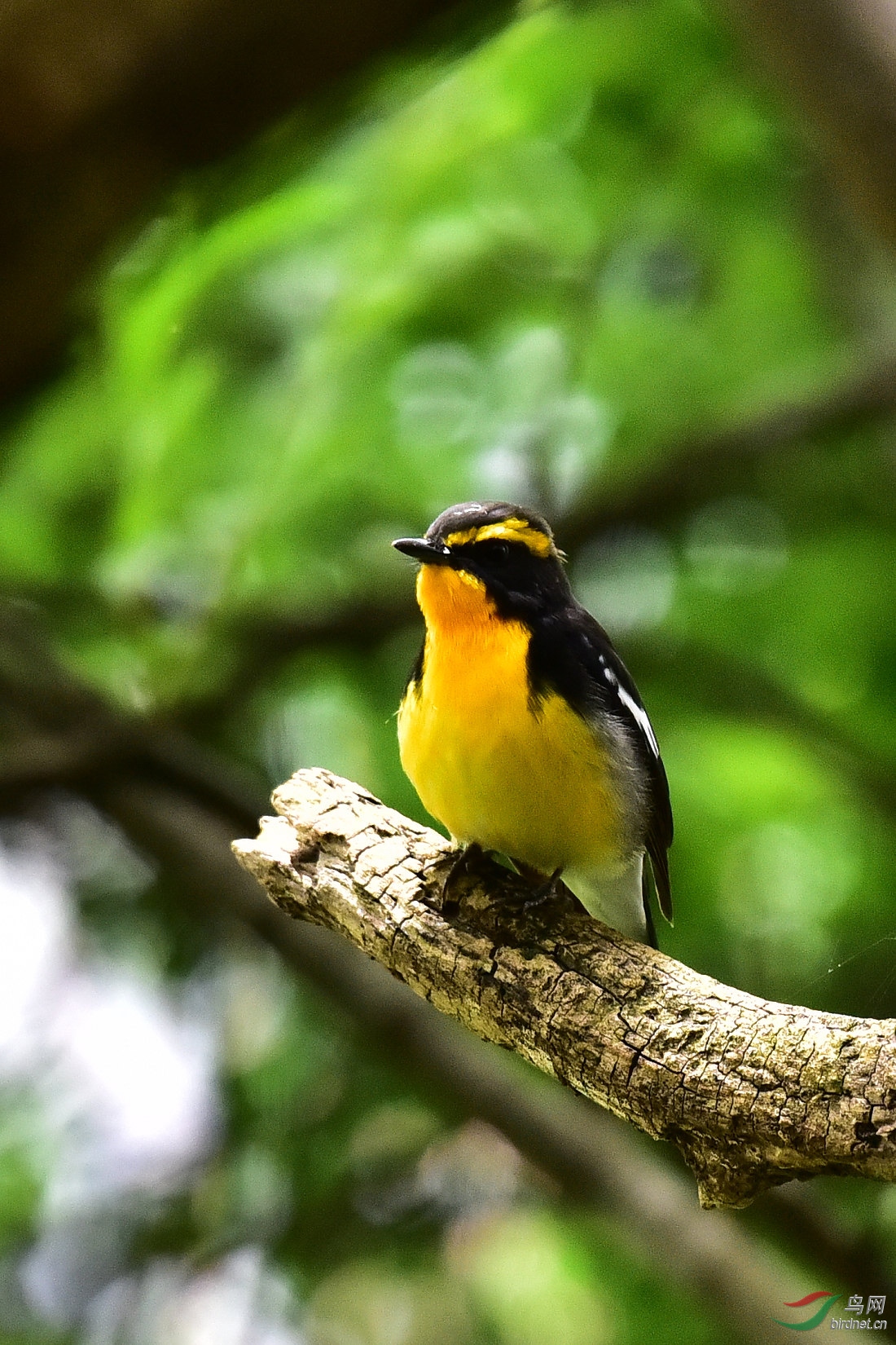 DSC_0759.JPG
