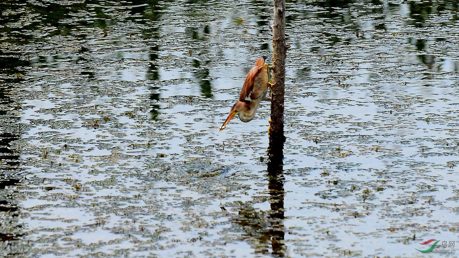 DSC_5779.JPG
