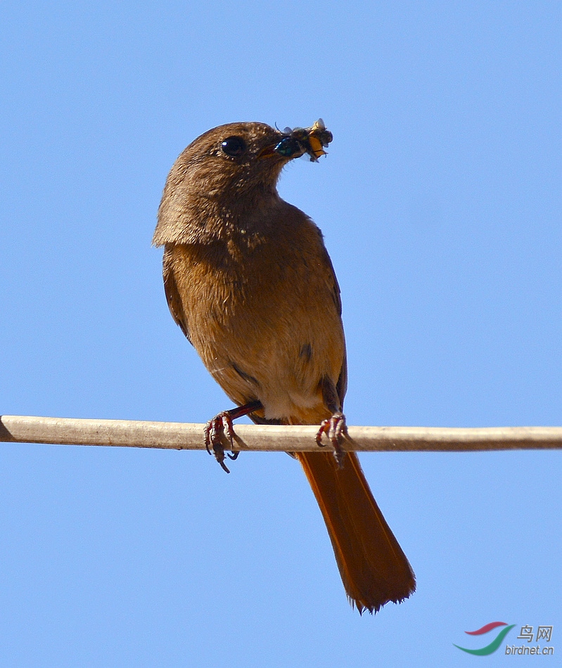 DSC_8443.JPG