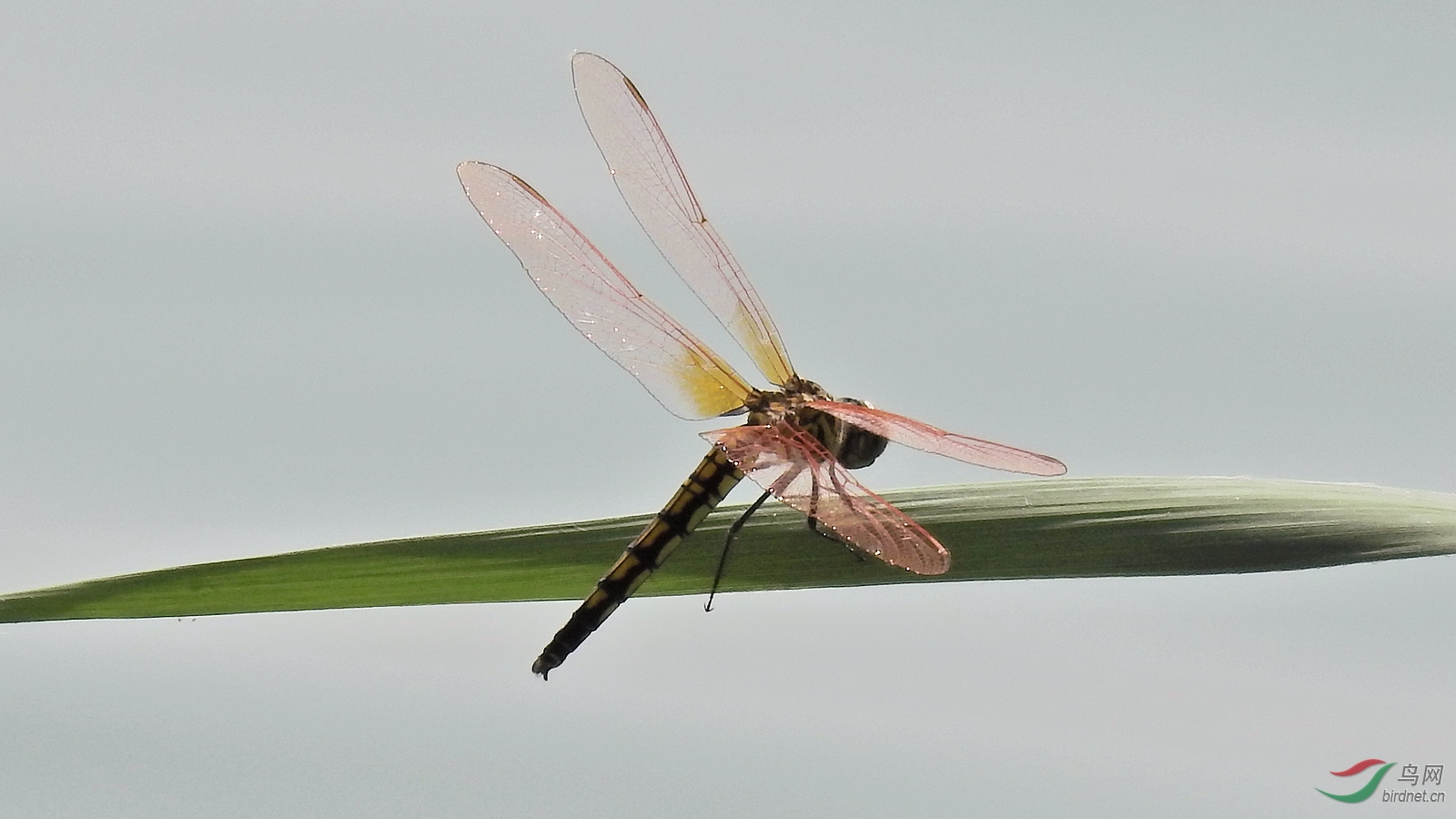 DSCN2815.JPG